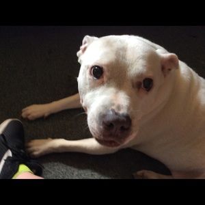 Meet your Posher, Rosemarie